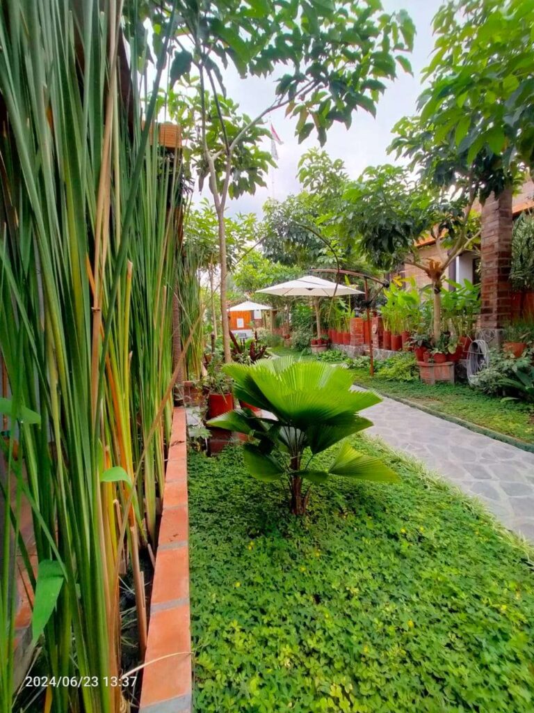 Tzy-No Cottage Jogja