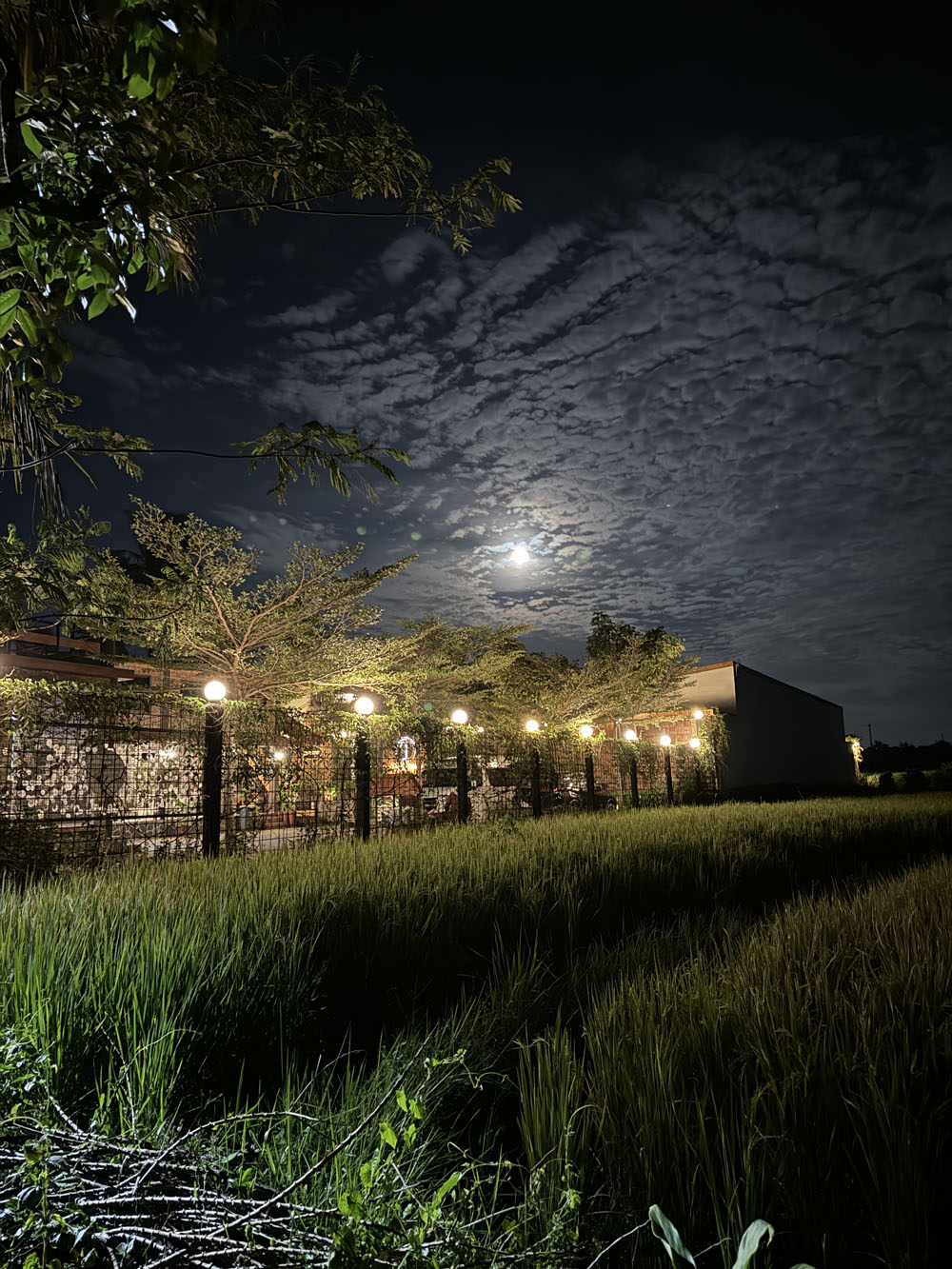 cottage jogja malam hari